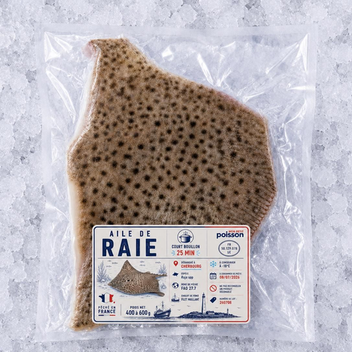 Aile de raie – Mon Petit Poisson