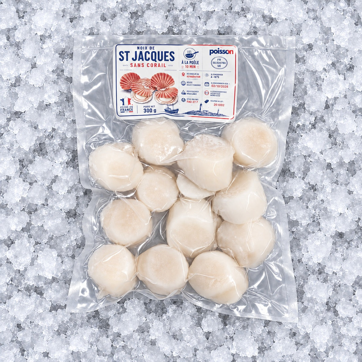 Noix de Saint-Jacques sans corail 300 g en sachet sur glace
