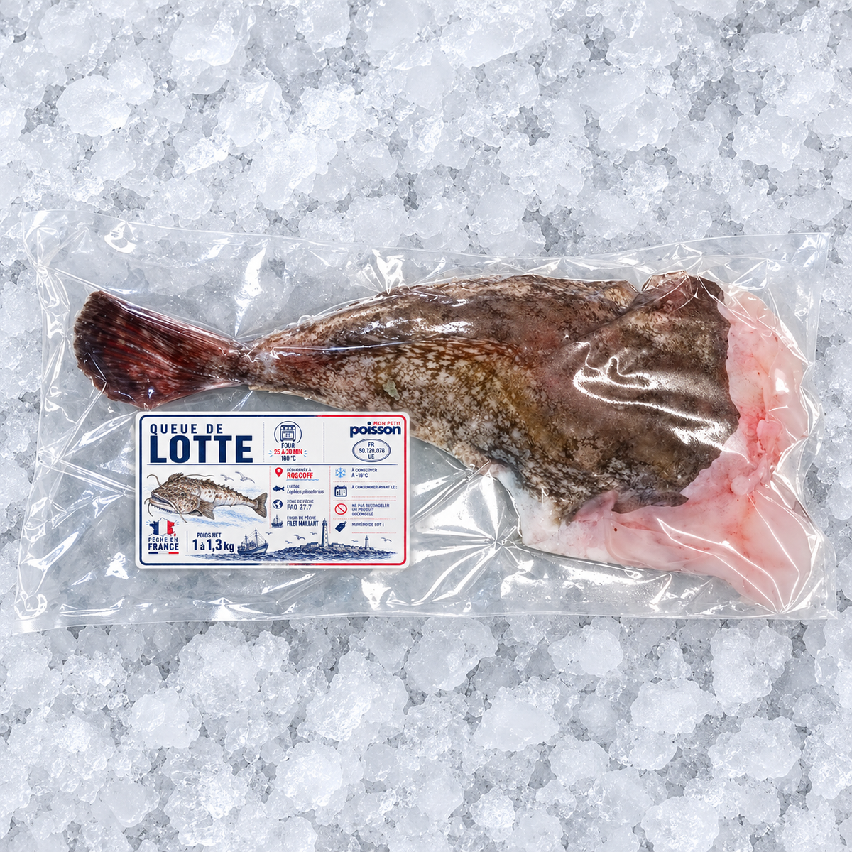 Queue de lotte de Roscoff 1 à 1,3 kg