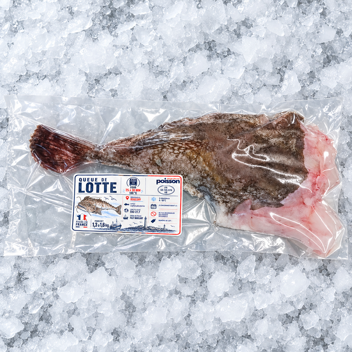 Queue de lotte de Roscoff 1,3 à 1,6 kg