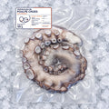 Tentacules de poulpe crues 500 g sous vide